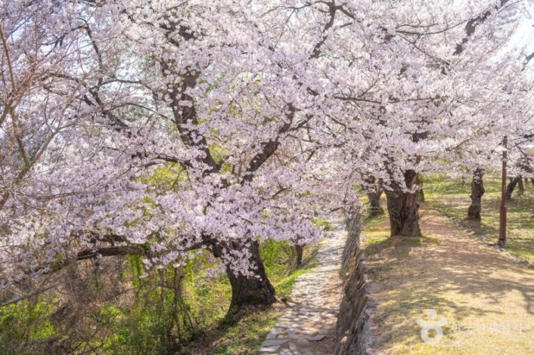 [경남] 사천선진리성