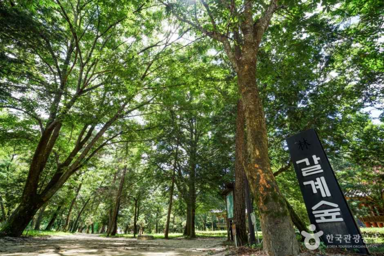 [경남] 숲옛마을(갈계)