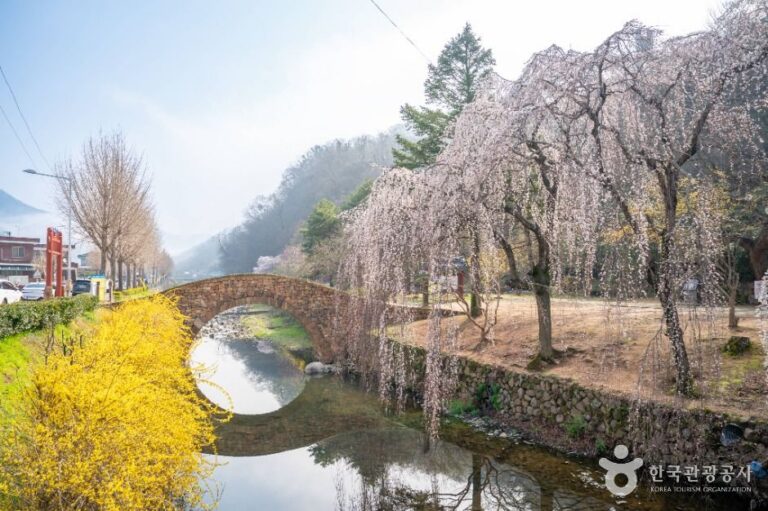 [경남] 창녕 영산 만년교