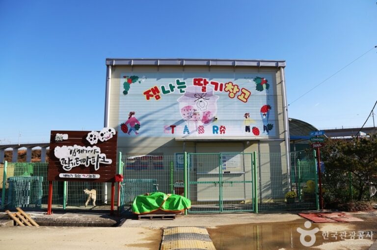 [경남] 김해가야딸기테마파크