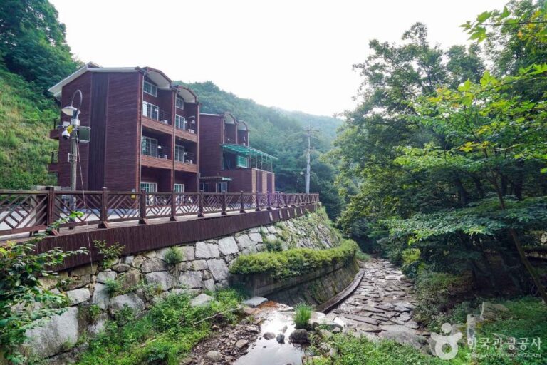 [경남] 산삼 자연휴양림