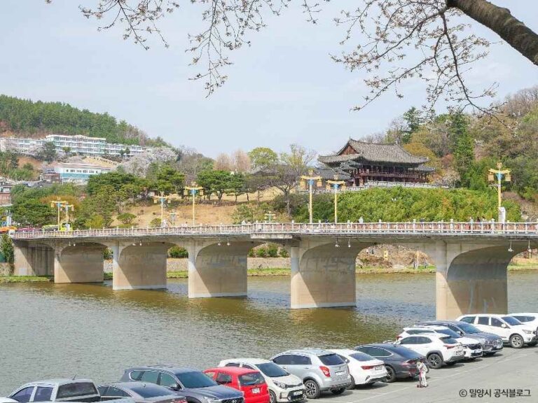 [경남] 밀양강둔치