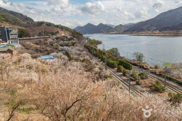 [경남] 순매원