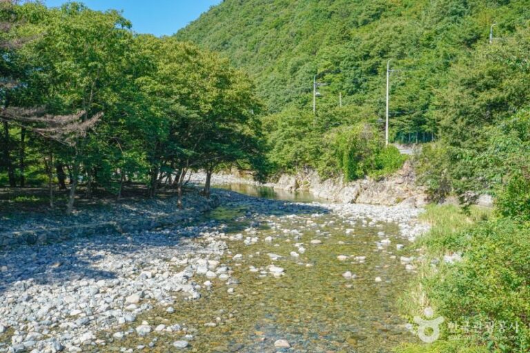 [경남] 배내골