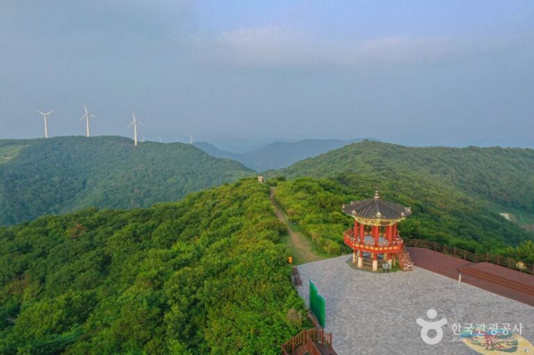 [경남] 한우산 드라이브코스