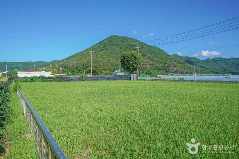 [경남] 김해 예안리 고분군