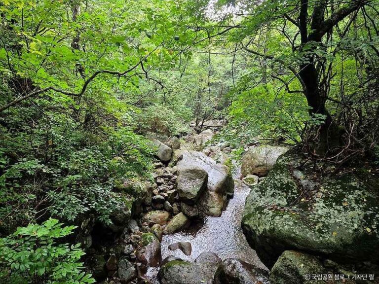 [경남] 한신계곡