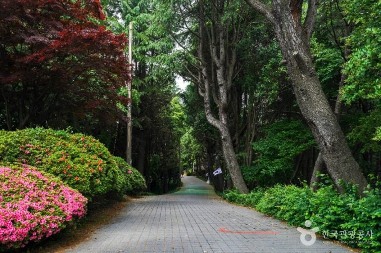 [경남] 산호공원(용마공원) 시의거리