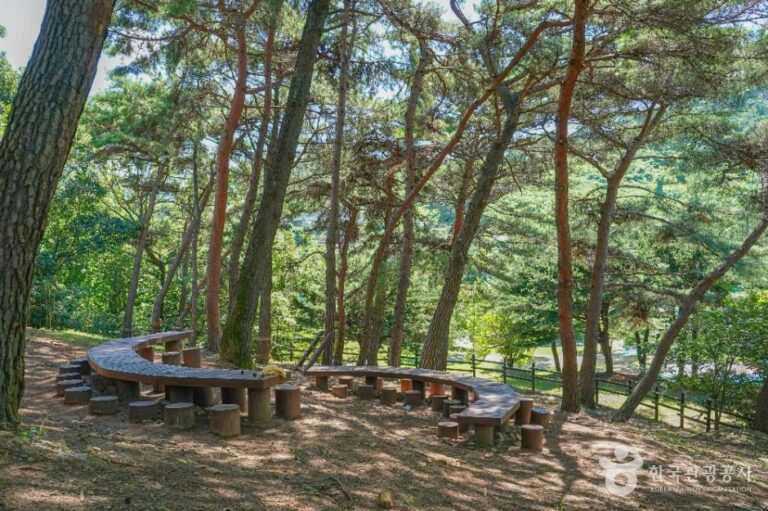 [경남] 금병공원