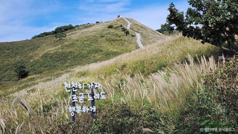 [경남] 황매산 억새군락지