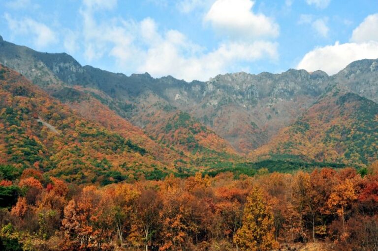 [경남] 영축산