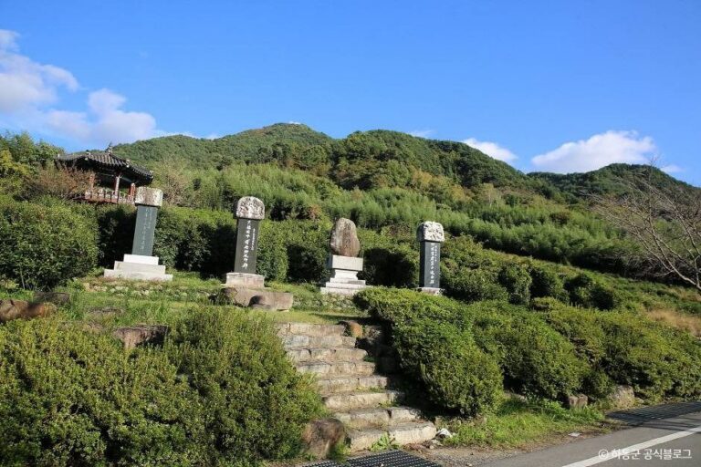 [경남] 쌍계사차나무시배지