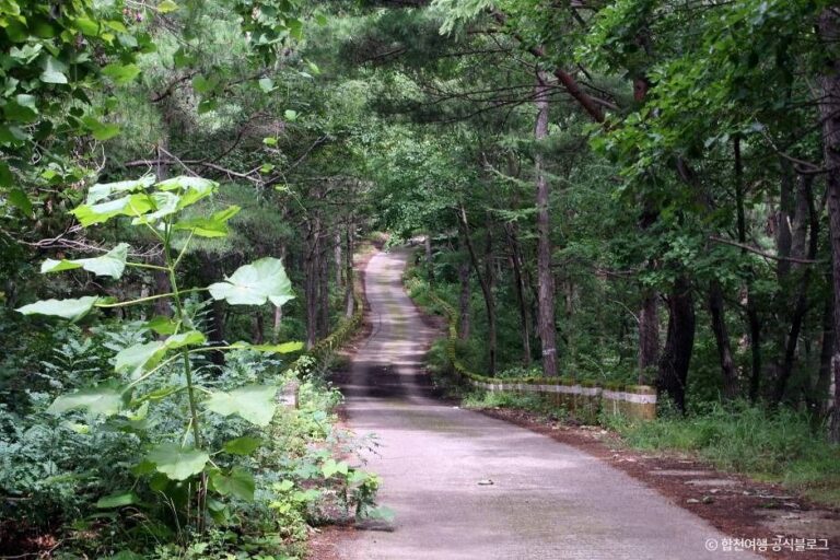[경남] 오도산