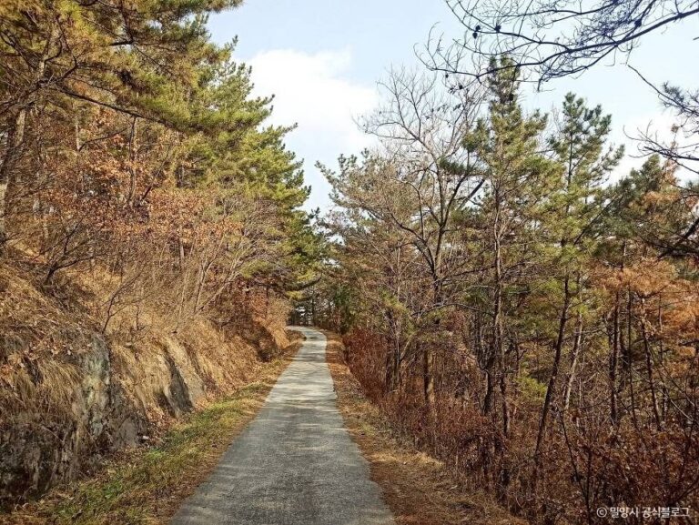 [경남] 종남산(밀양)