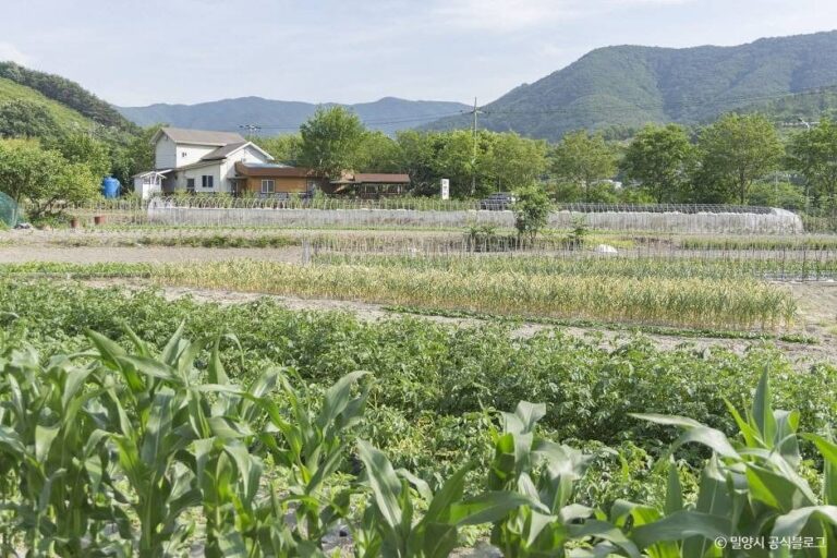 [경남] 평리산대추마을