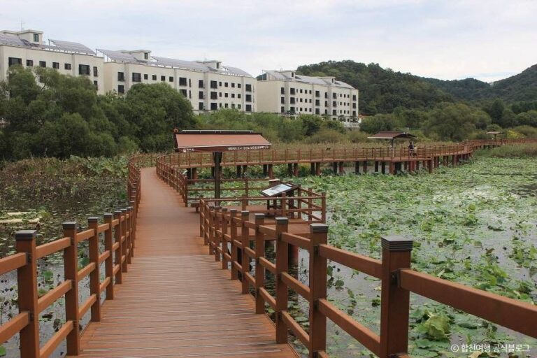 [경남] 정양늪생태공원