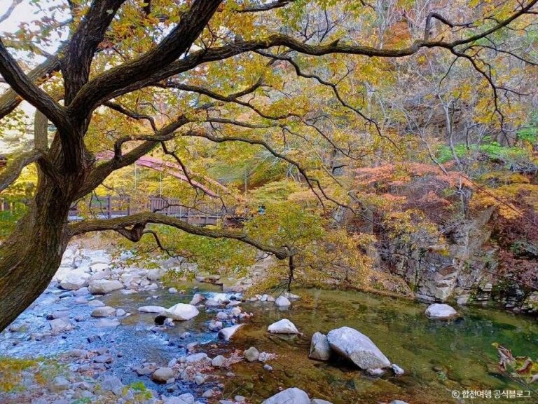 [경남] 가야산 소리길