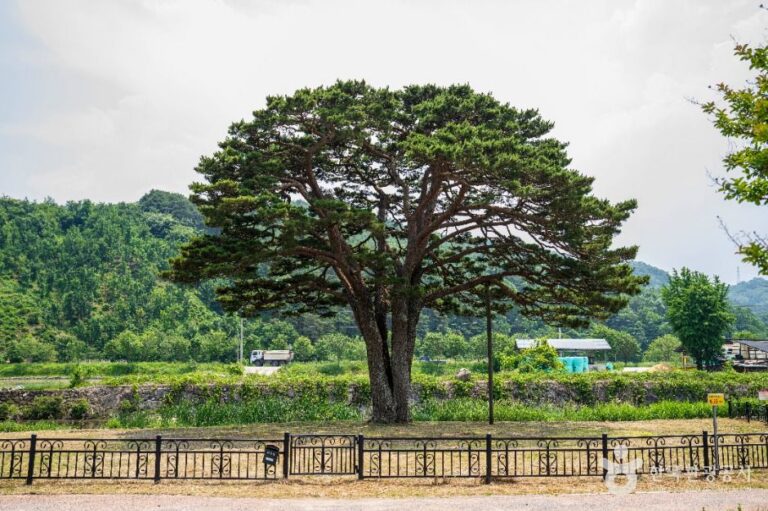 [경남] 함양 목현리 구송