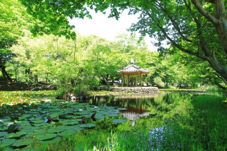 [경남] 고성 장산숲
