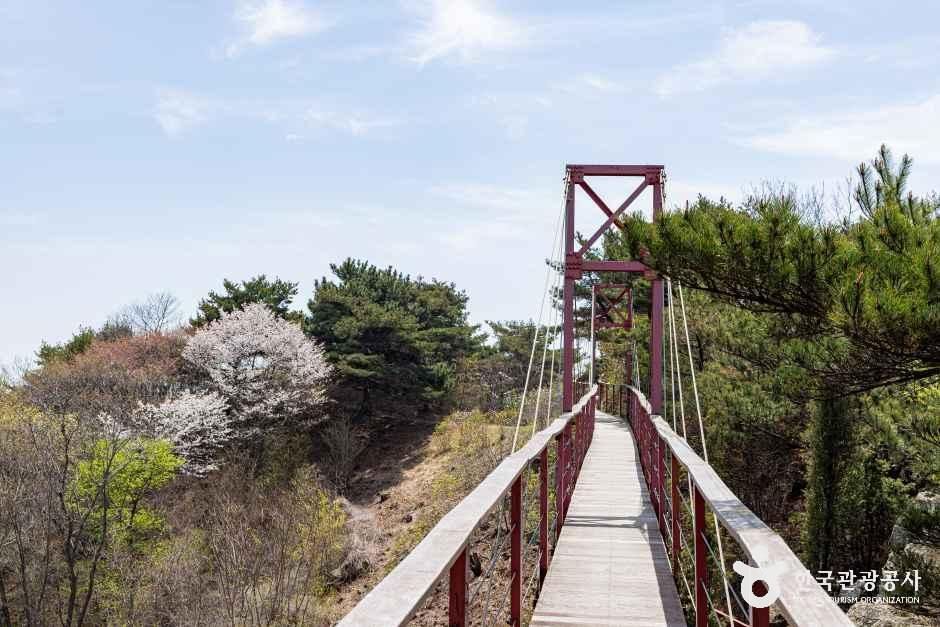 [인천] 부아산 구름다리