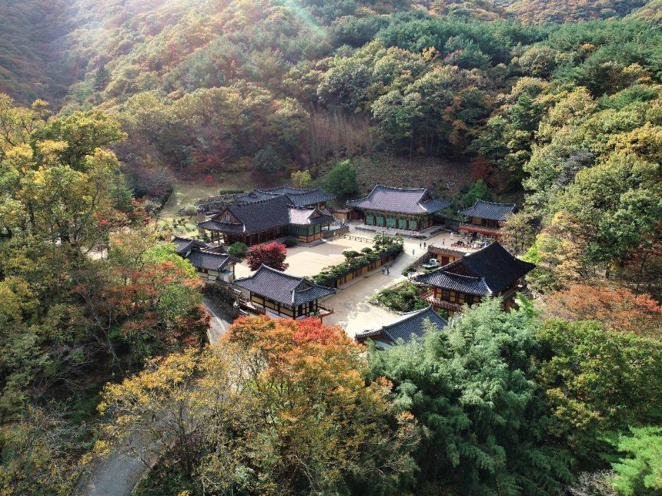 [경남] 내원사(양산)