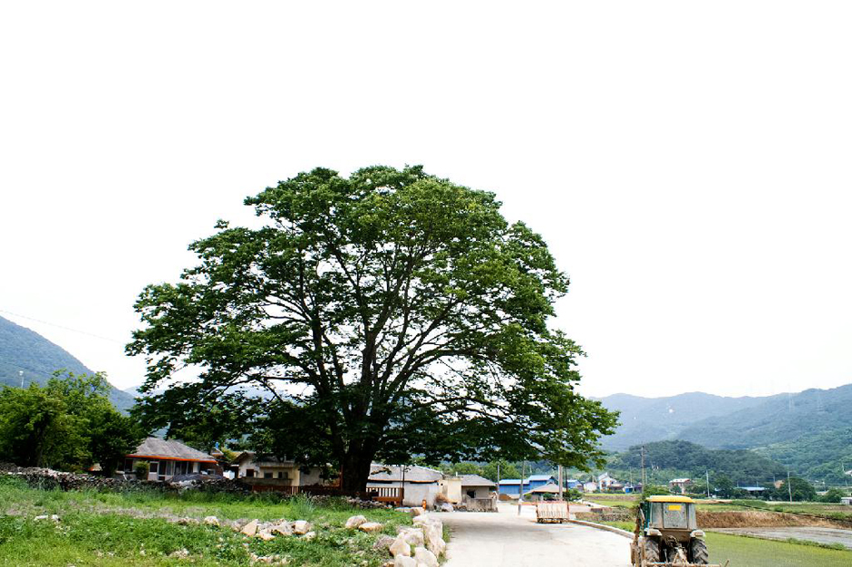 [경남] 운리마을