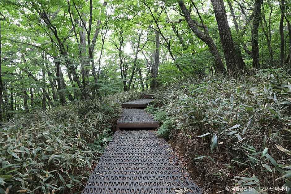 [경남] 지리산국립공원(함양)