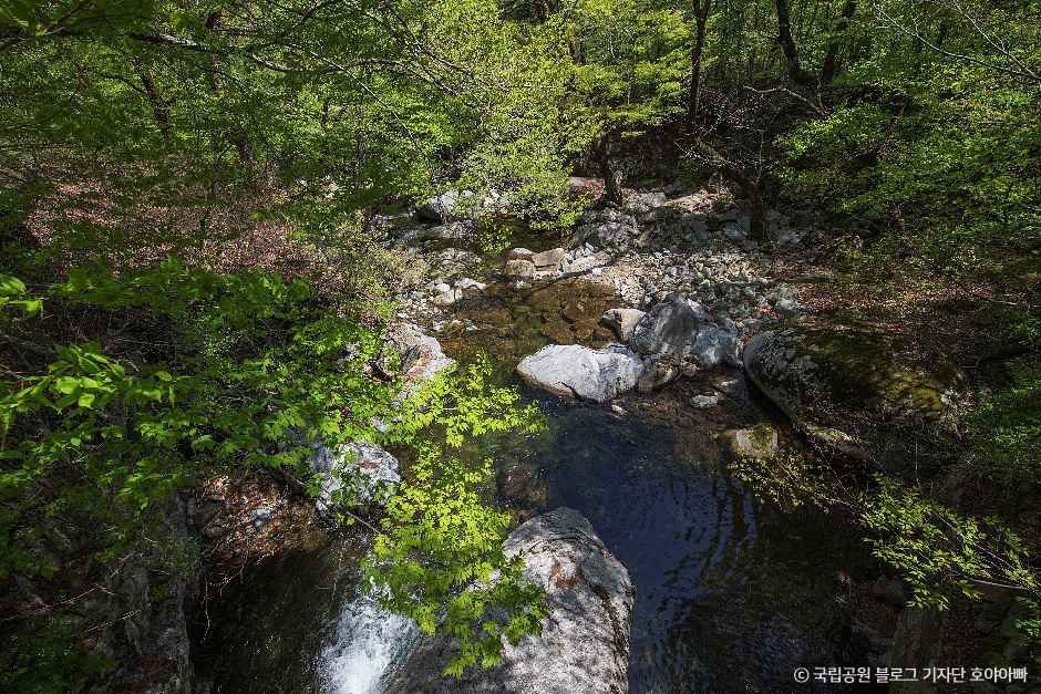 [경남] 가야산국립공원(합천)