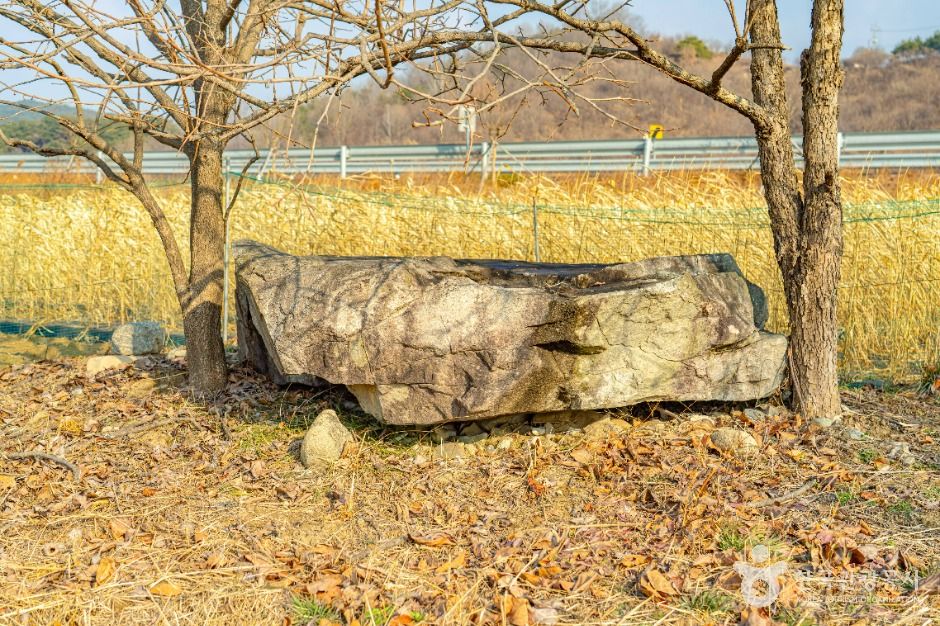 [경남] 산청특리지석묘군
