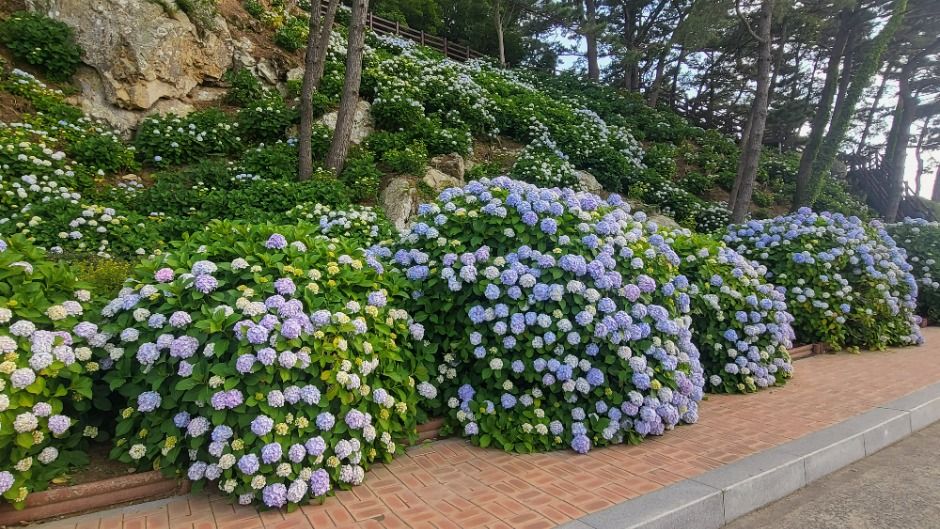 [경남] 저구마을