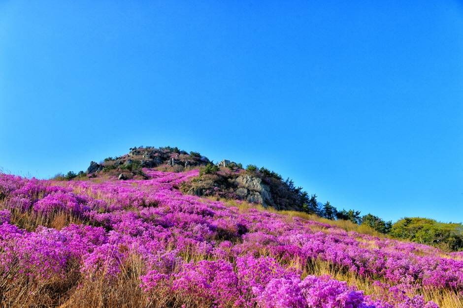 [경남] 대금산(거제)