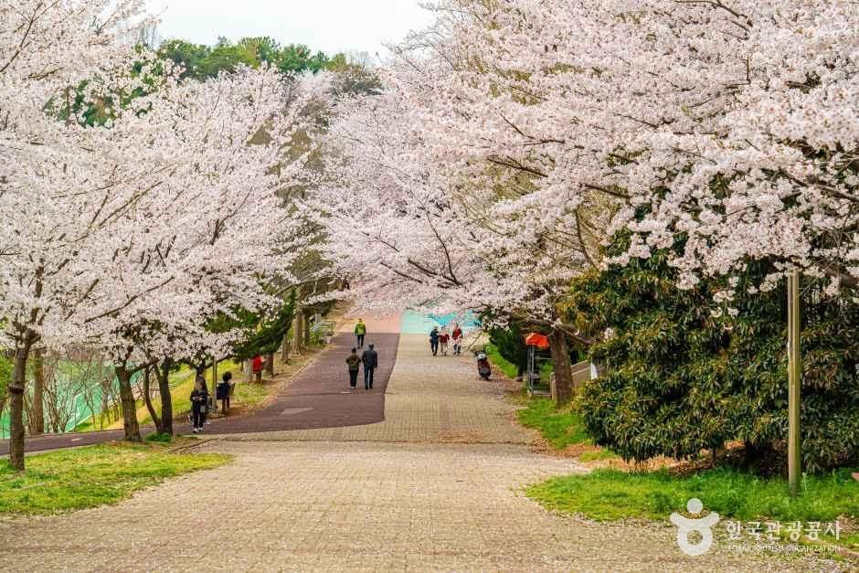 [광주] 문화근린공원