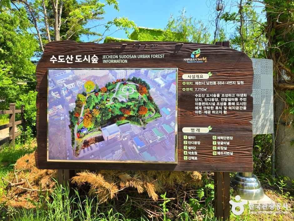 [충북] 수도산도시숲
