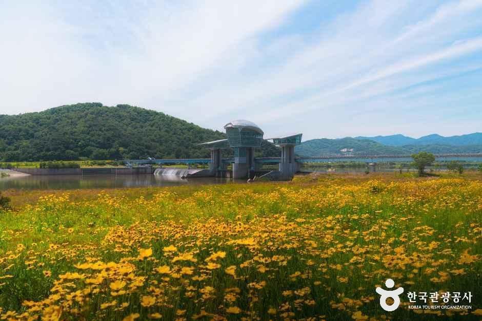 [경북] 구미보