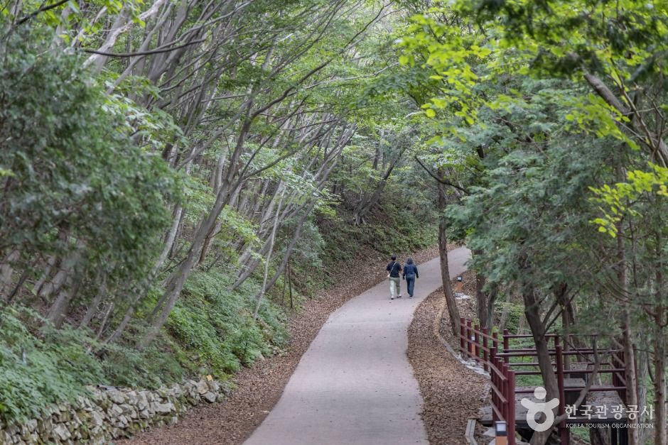 [경남] 금산(남해)
