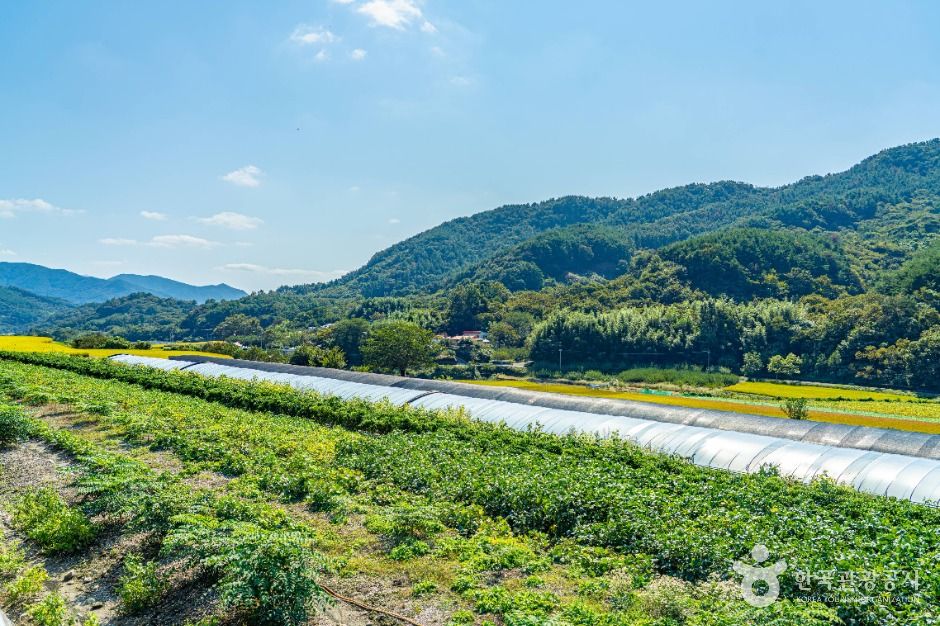 [경남] 서당마을