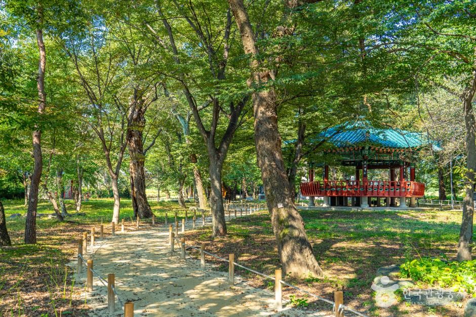 [경남] 악양 취간림