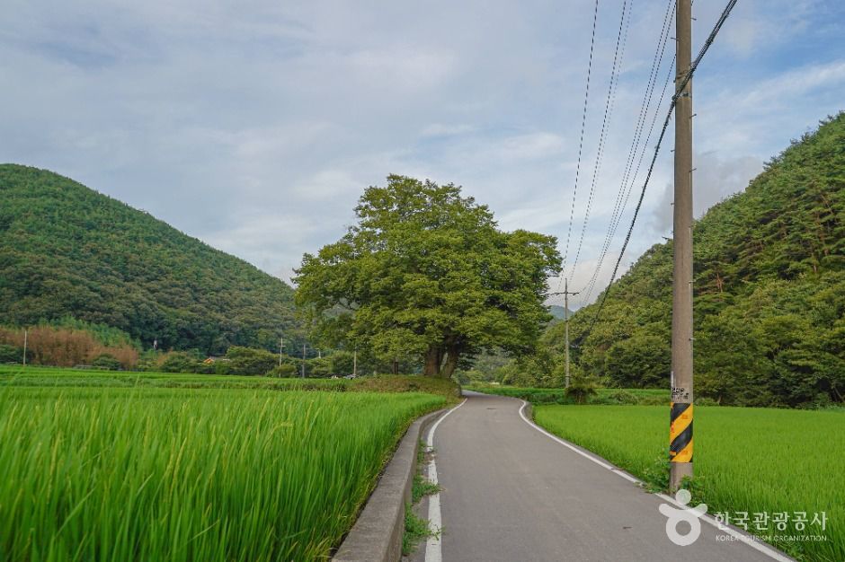 [경남] 무지돌이마을