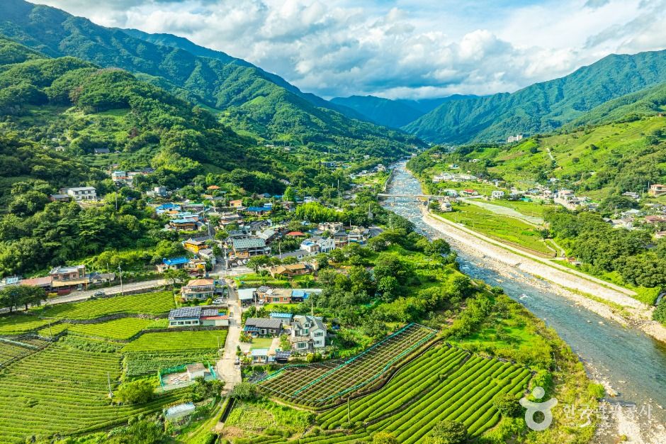 [경남] 하동 삼신녹차마을