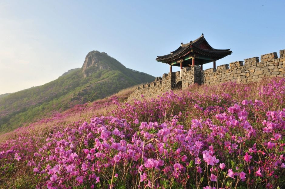 [경남] 황매산(산청)