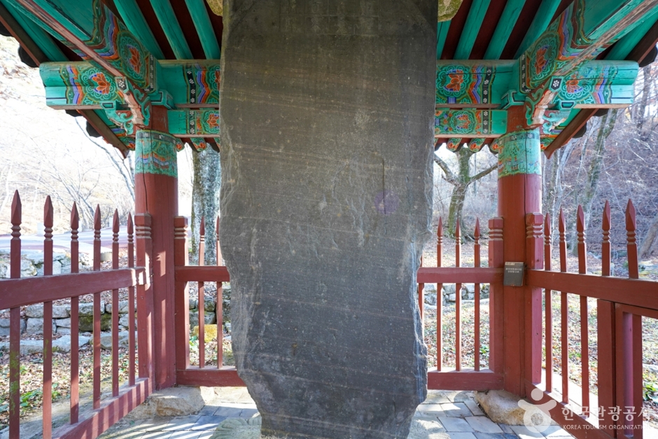 [경남] 합천 반야사지 원경왕사비