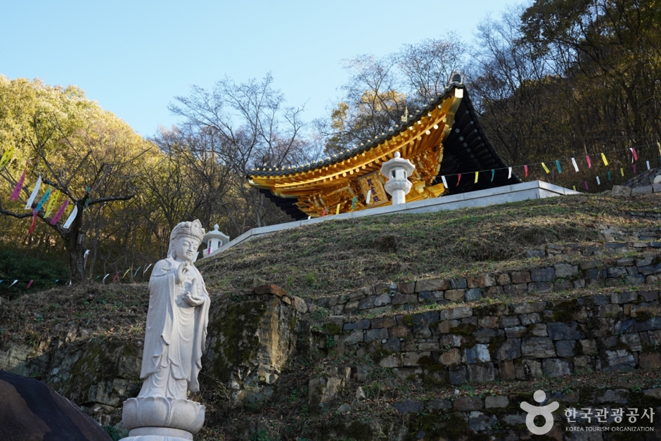 [경남] 장춘사(함안)