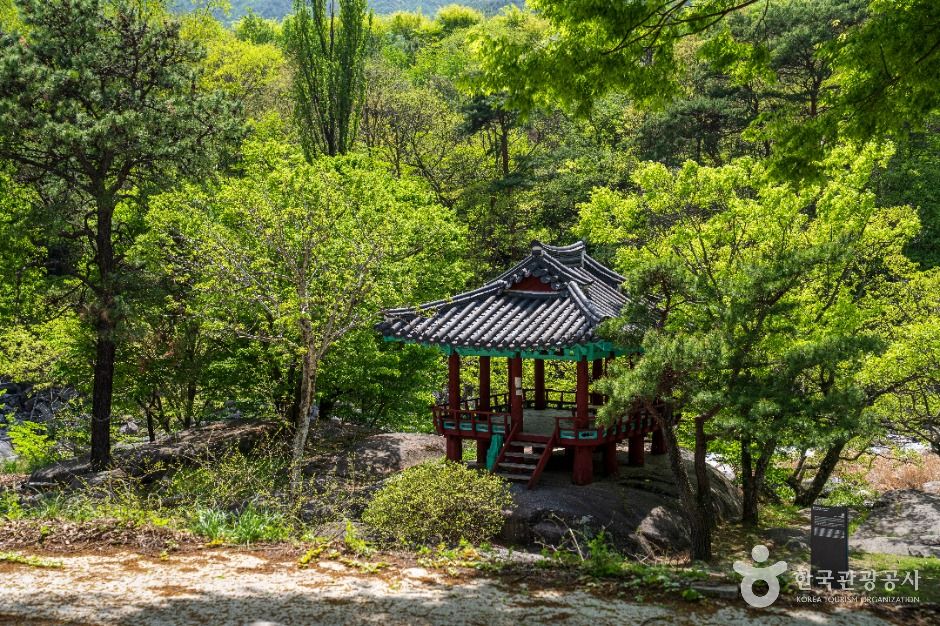 [경남] 함양 군자정