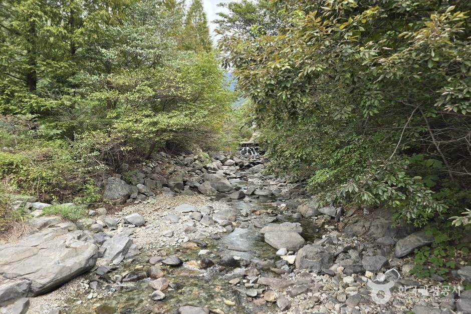 [경남] 청계계곡