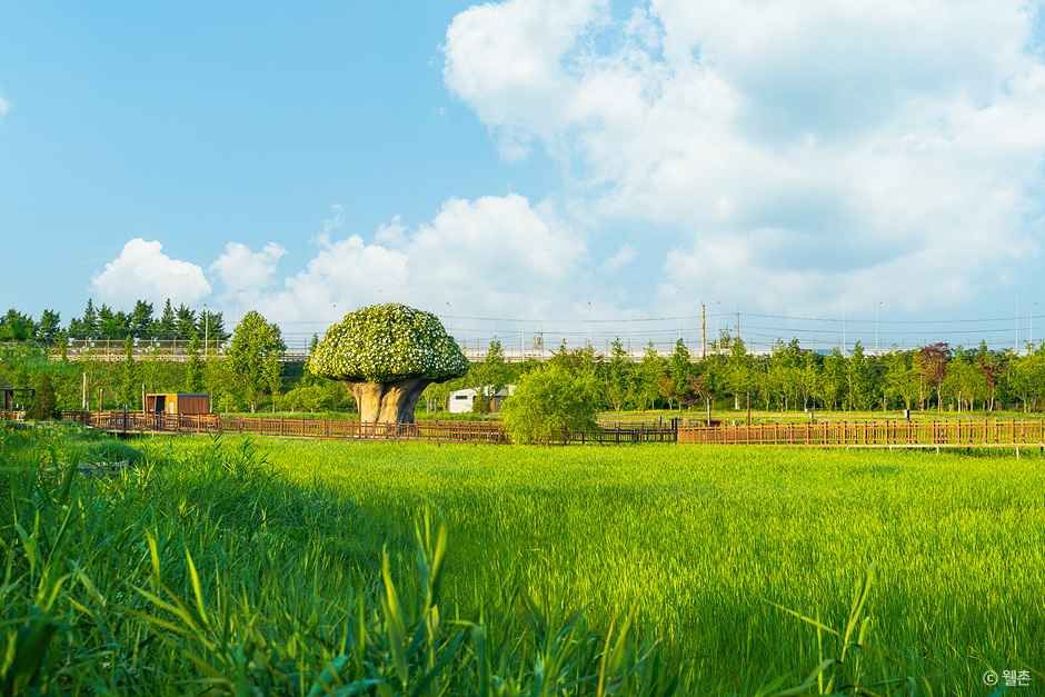 [경기] 파주 장단콩마을
