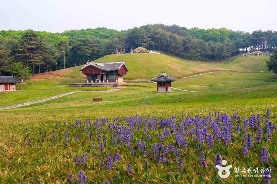[경기] 구리 동구릉 [유네스코 세계유산]