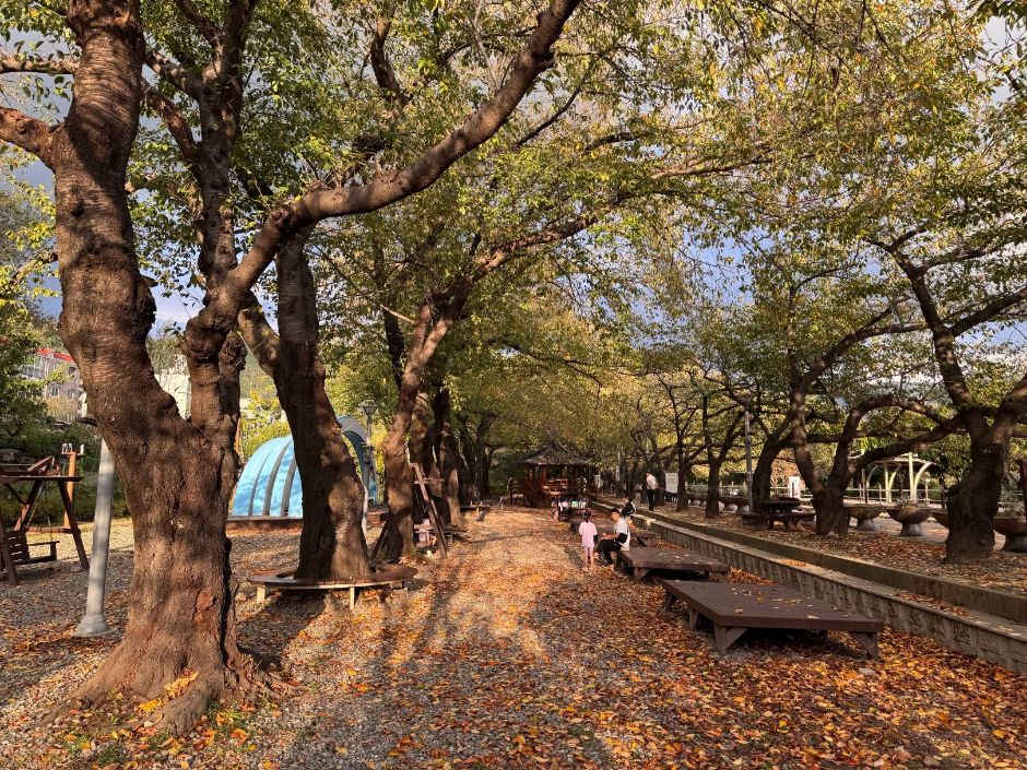 [경남] 경화역공원