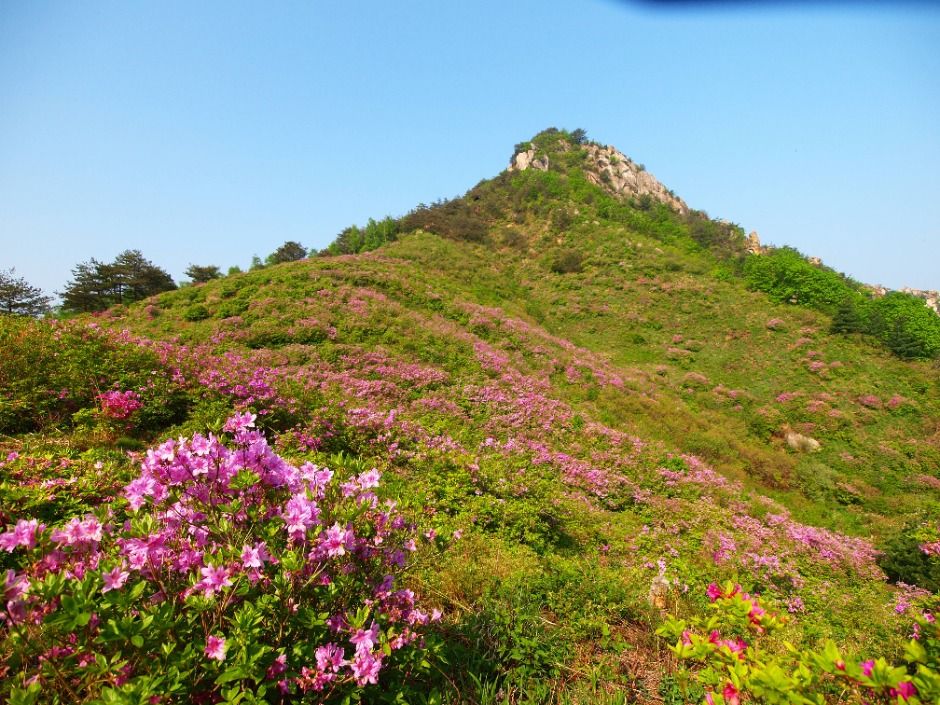 [경남] 월여산