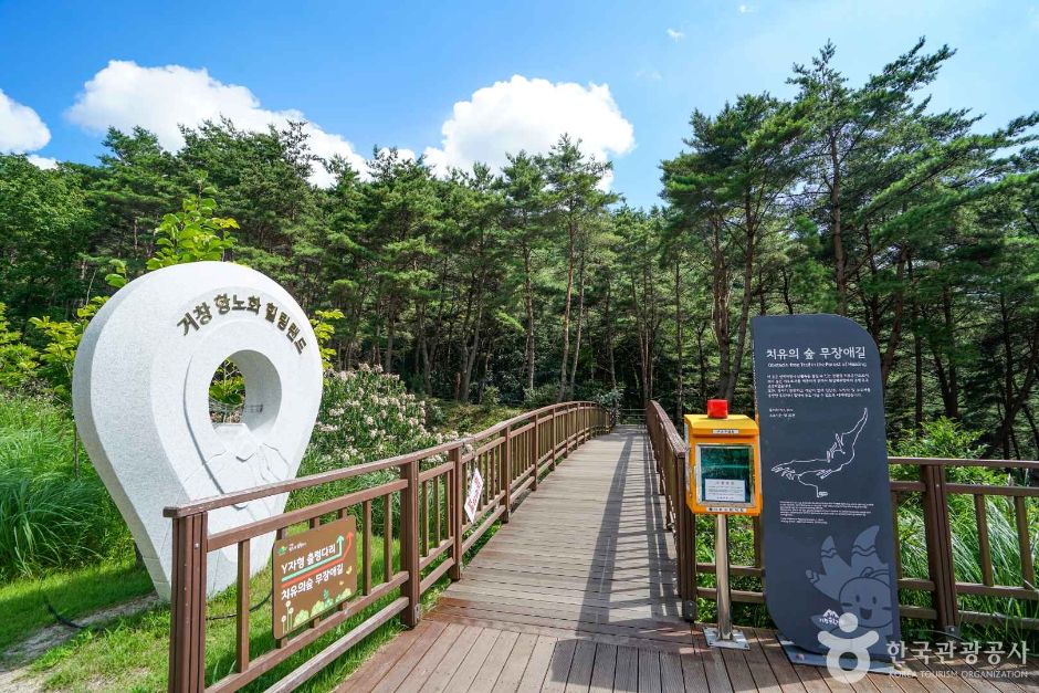 [경남] 치유의숲 무장애길