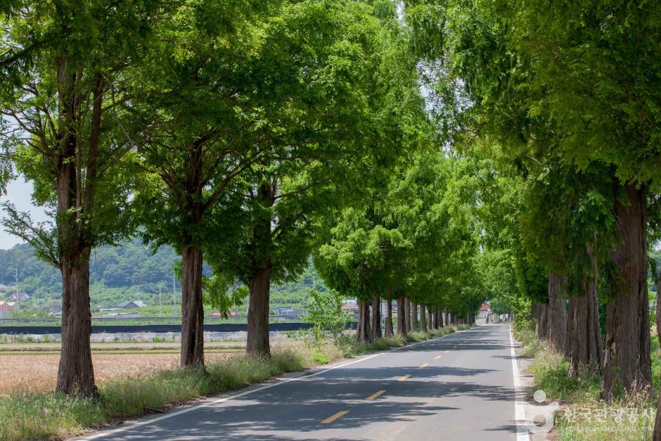 [경남] 죽동마을